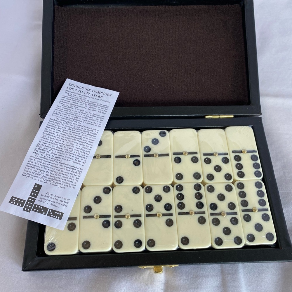Double Six 6 Professional Dominoes Game Set 28 Piece Domino w/ Case